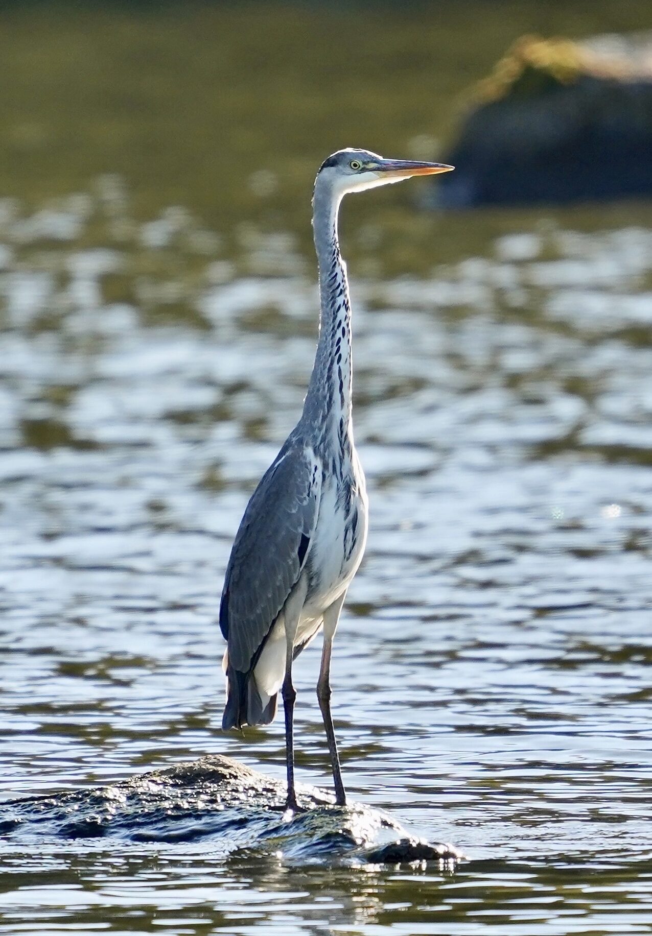 Valokuvaaja: Markku Ranta-Eilola