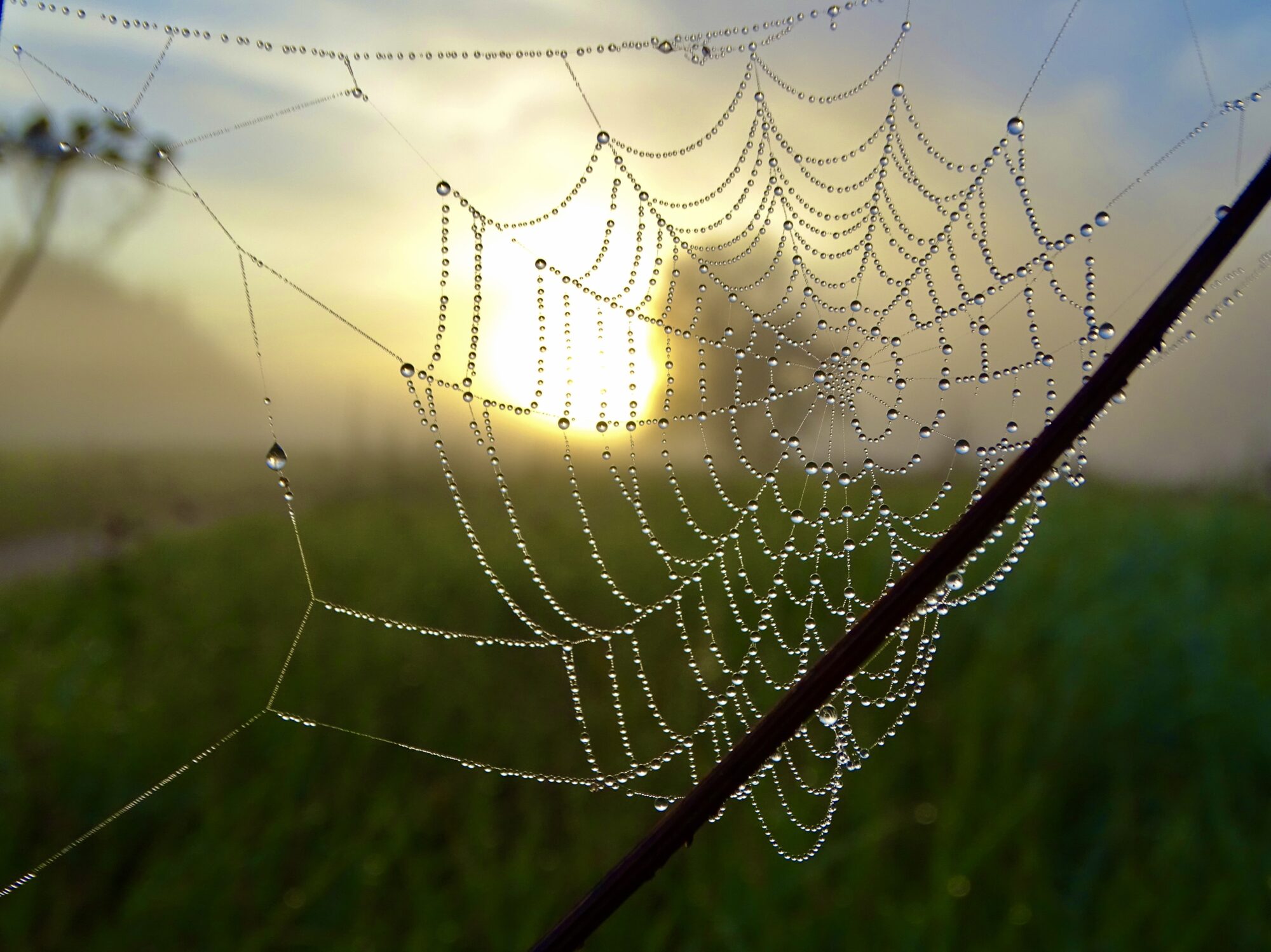 Valokuvaaja: Juhani Peltonen Valokuvaaja: Juhani Peltonen
