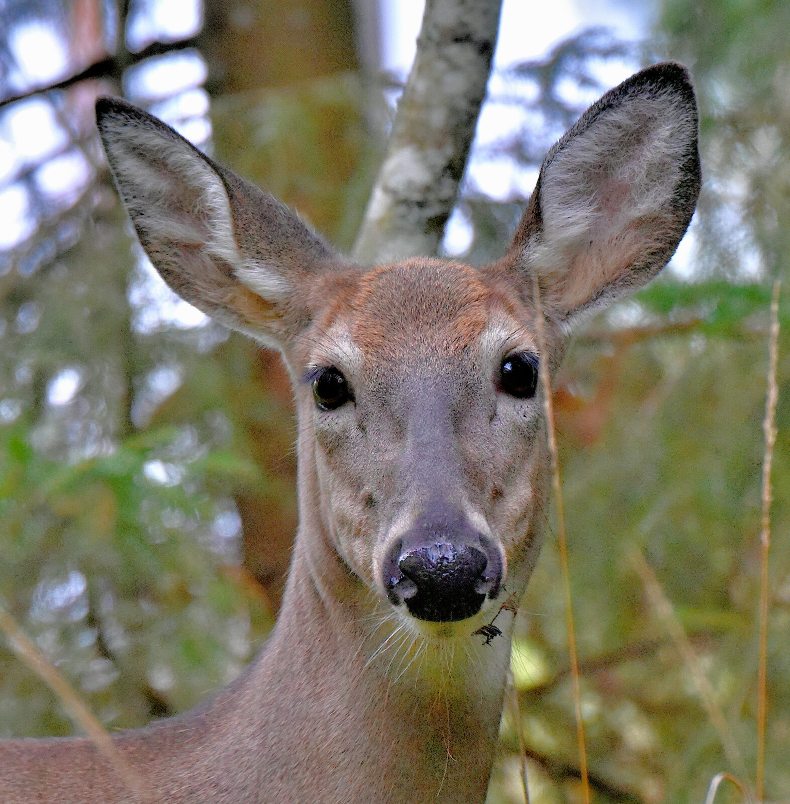 Valokuvaaja: Reijo Juurinen