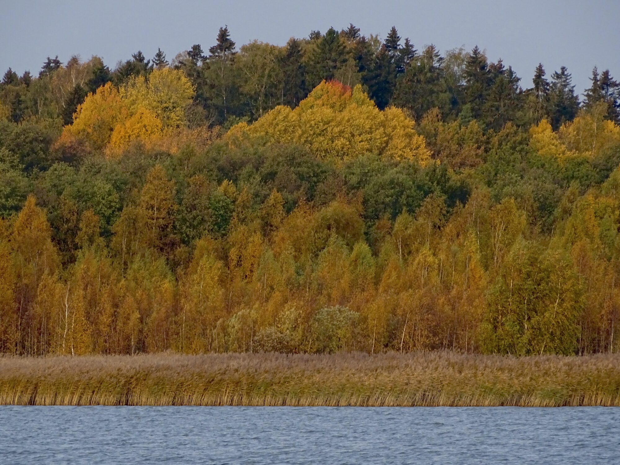 Valokuvaaja: Juhani Peltonen