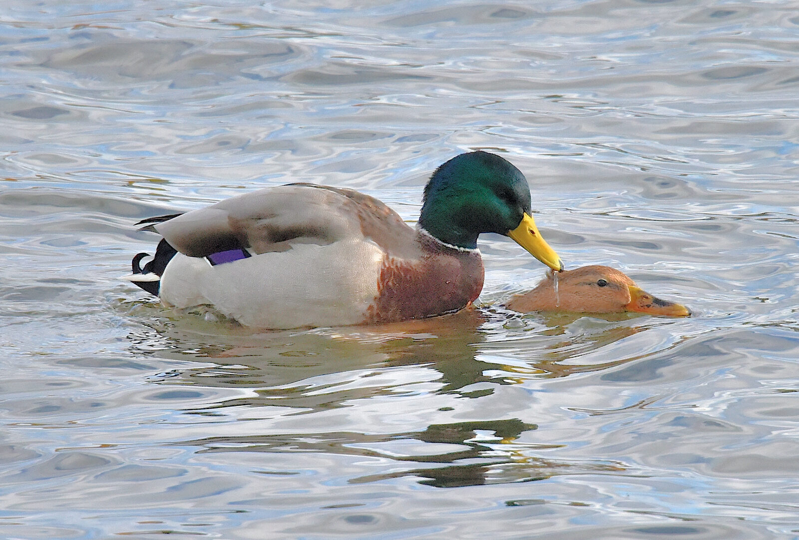 Valokuvaaja: Reijo Juurinen