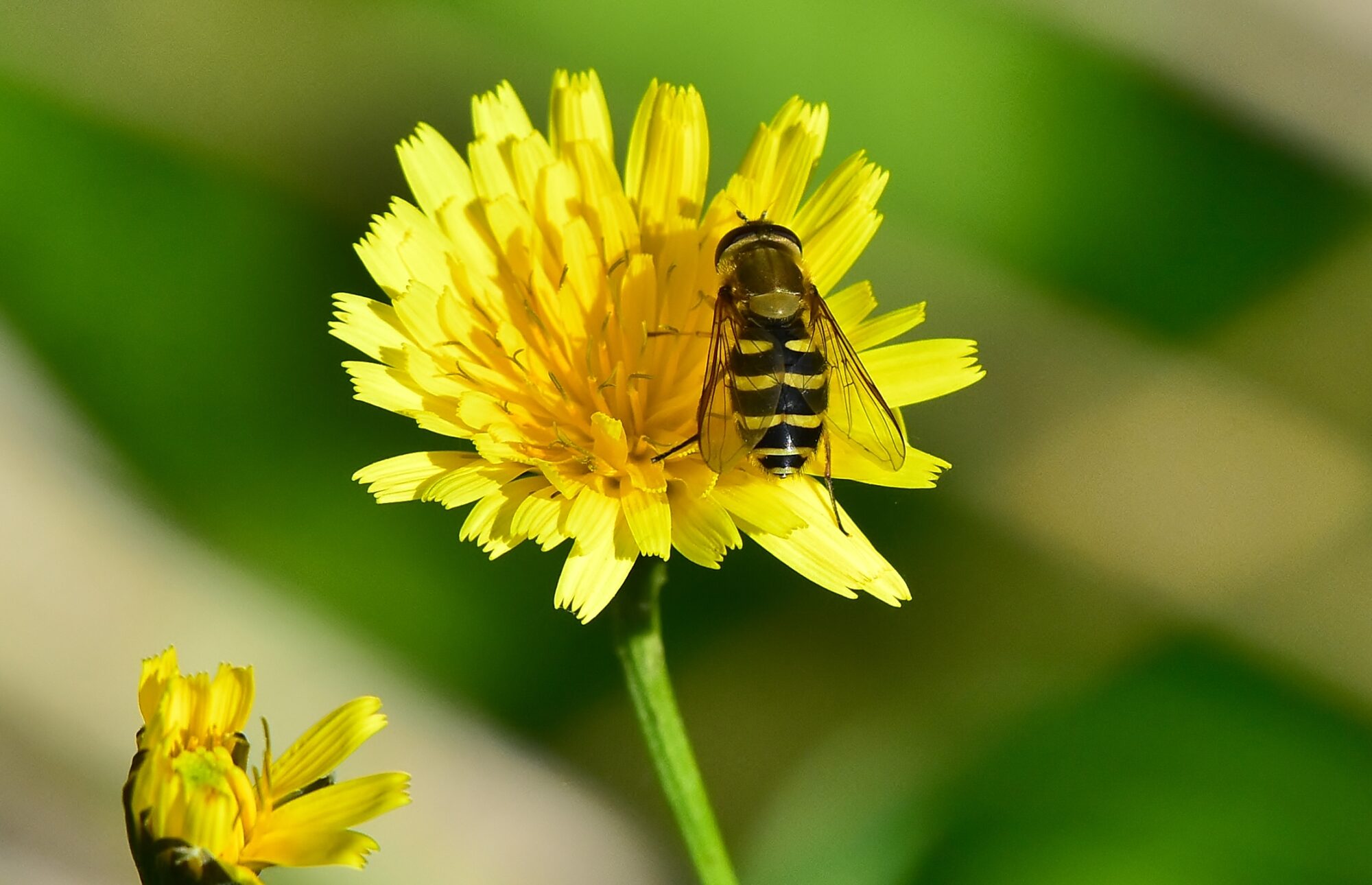 Valokuvaaja: Markku Pelkonen