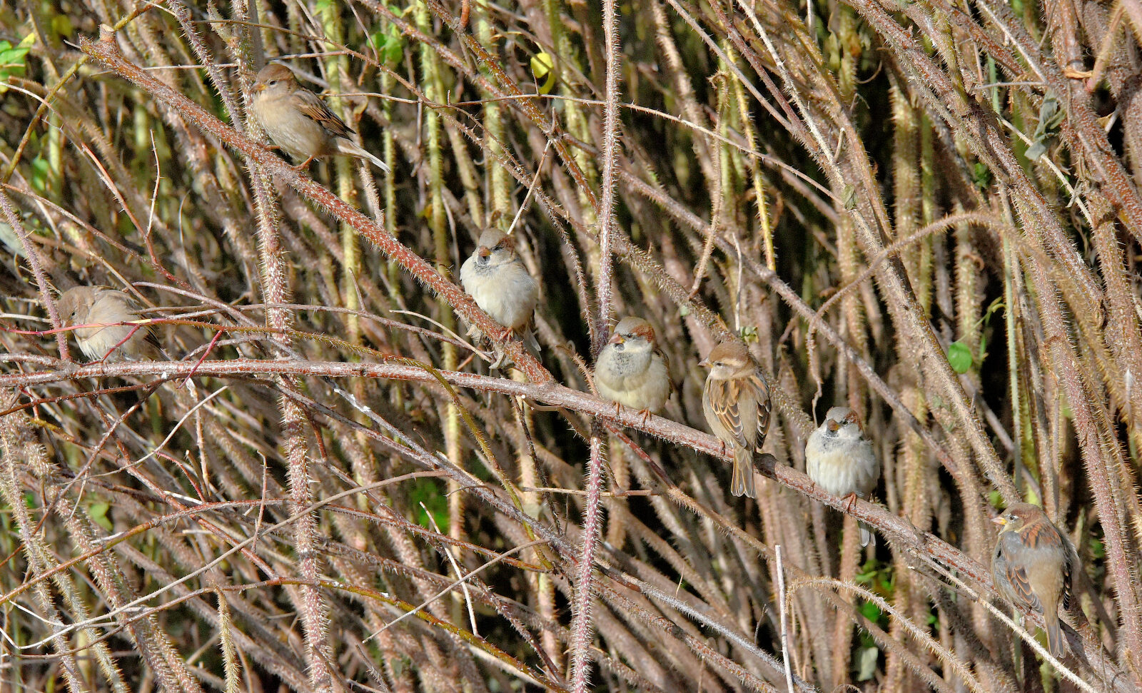 Valokuvaaja: Reijo Juurinen