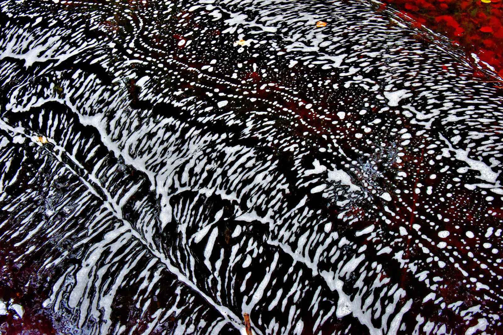 Valokuvaaja: Reijo Juurinen