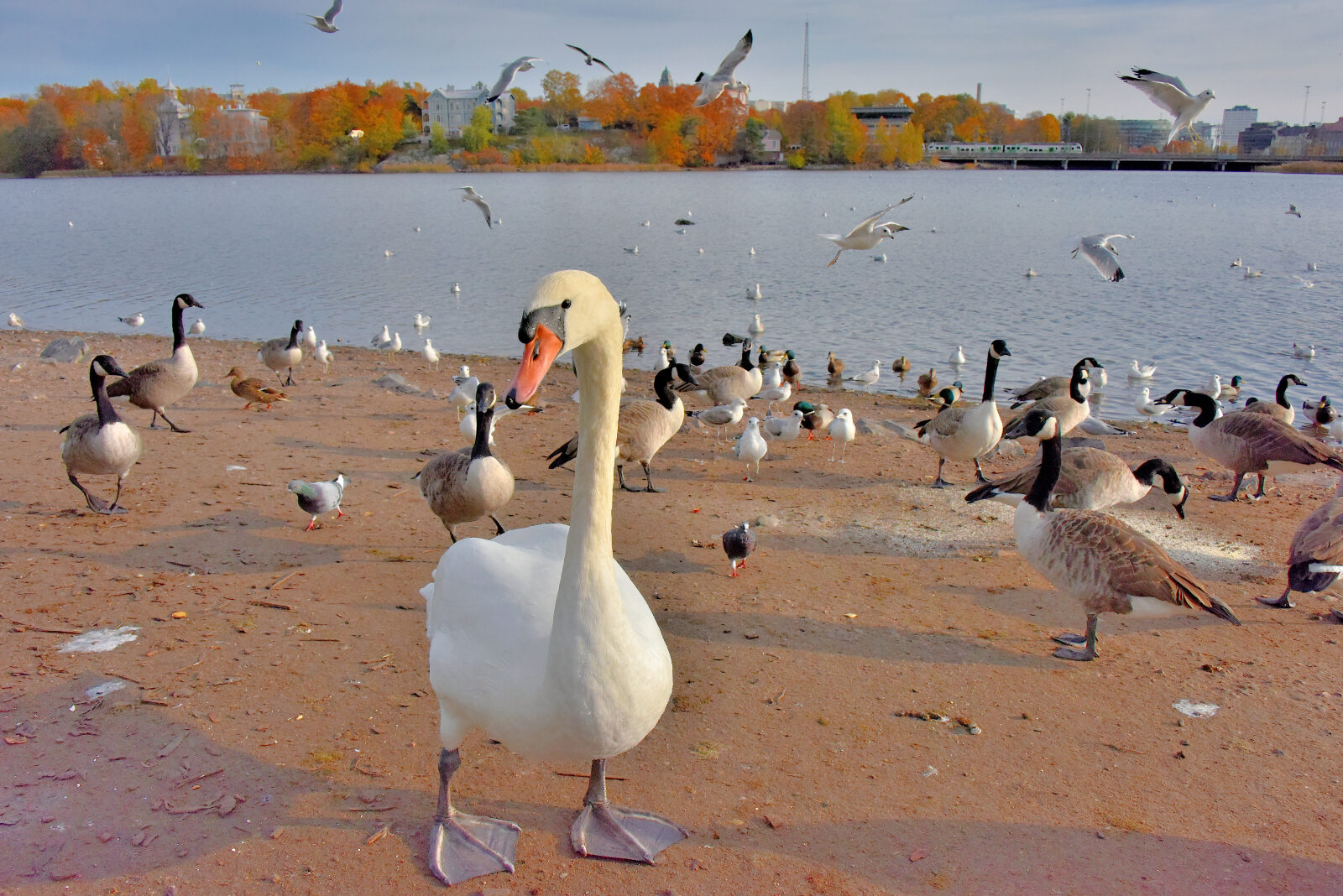 Valokuvaaja: Reijo Juurinen