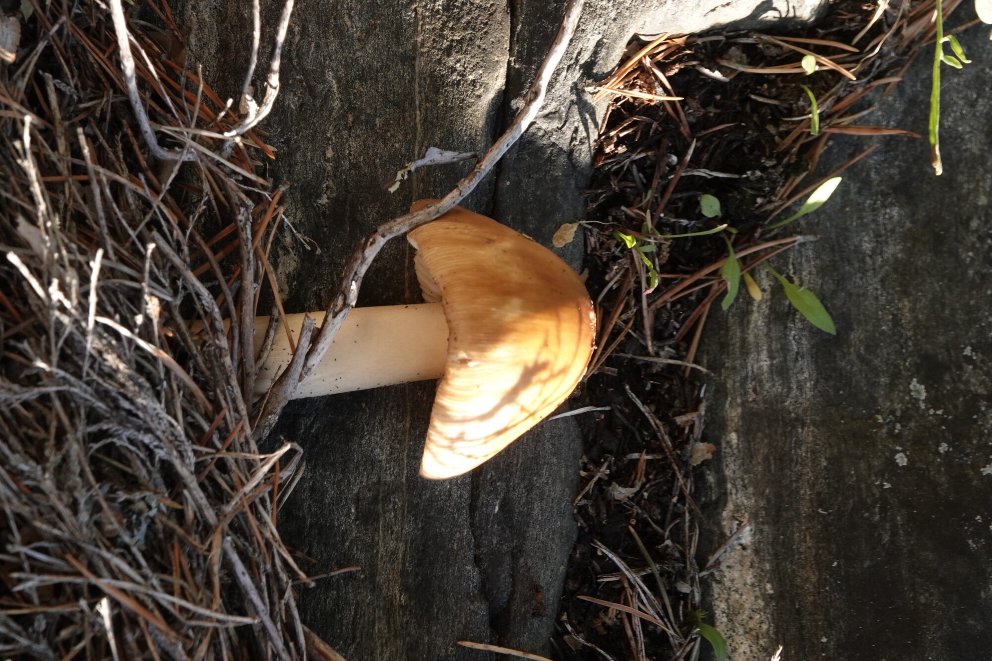 Valokuvaaja: Jenna Pitkänen