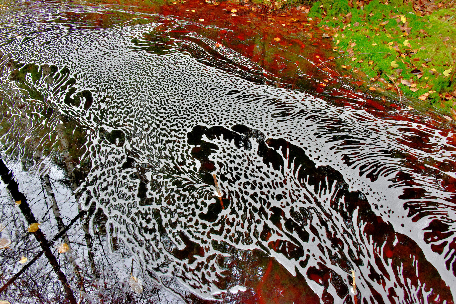 Valokuvaaja: Reijo Juurinen