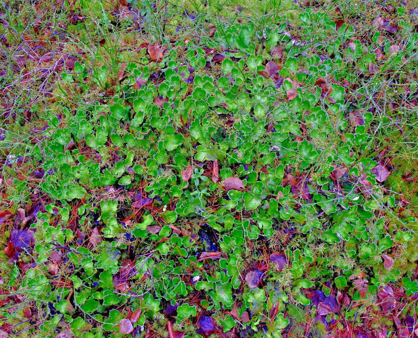 Valokuvaaja: Reijo Juurinen