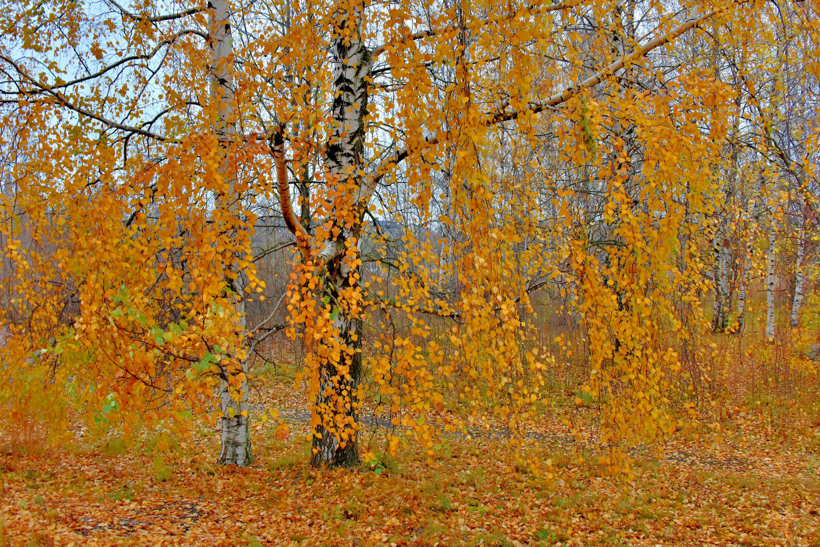 Valokuvaaja: Reijo Juurinen