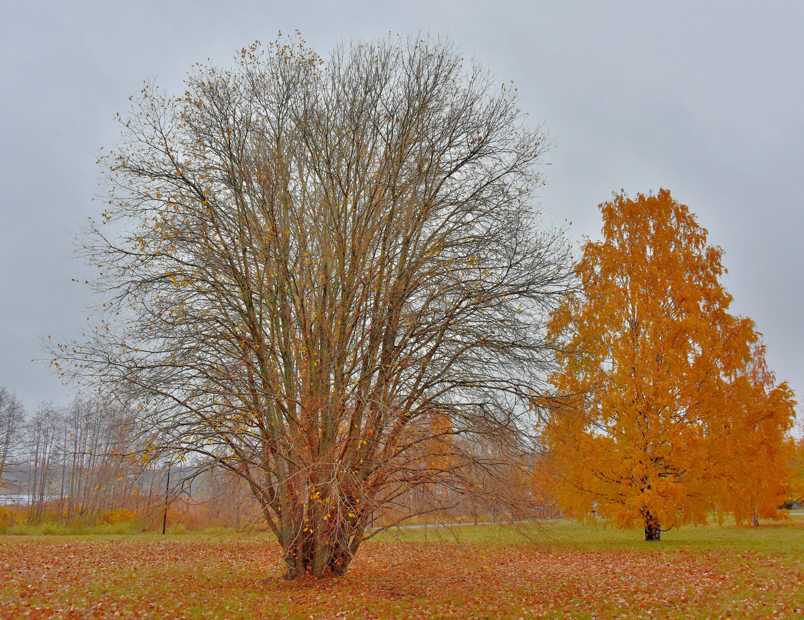 Valokuvaaja: Reijo Juurinen