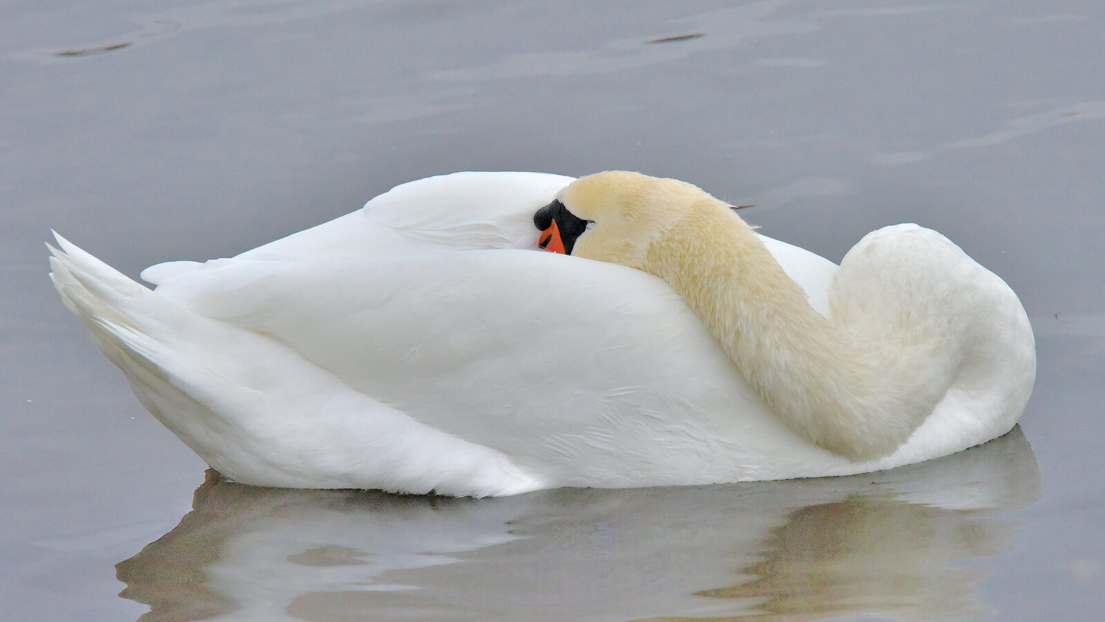 Valokuvaaja: Reijo Juurinen Valokuvaaja: Reijo Juurinen