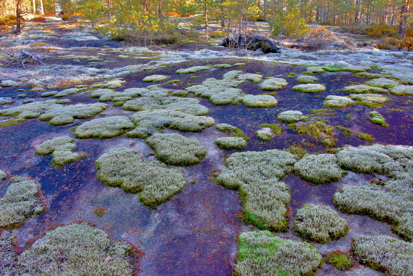 Valokuvaaja: Reijo Juurinen
