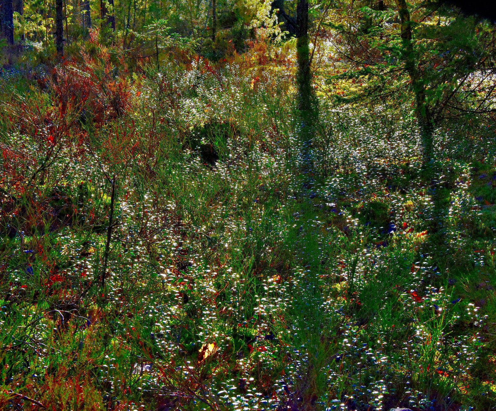 Valokuvaaja: Reijo Juurinen