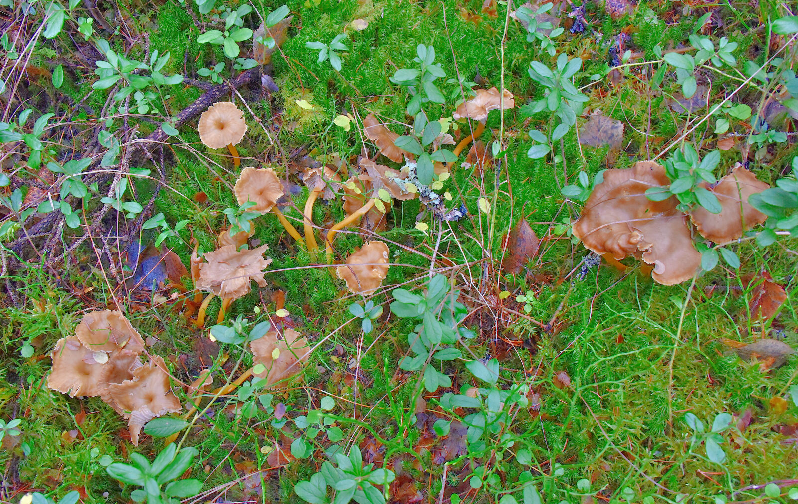 Valokuvaaja: Reijo Juurinen