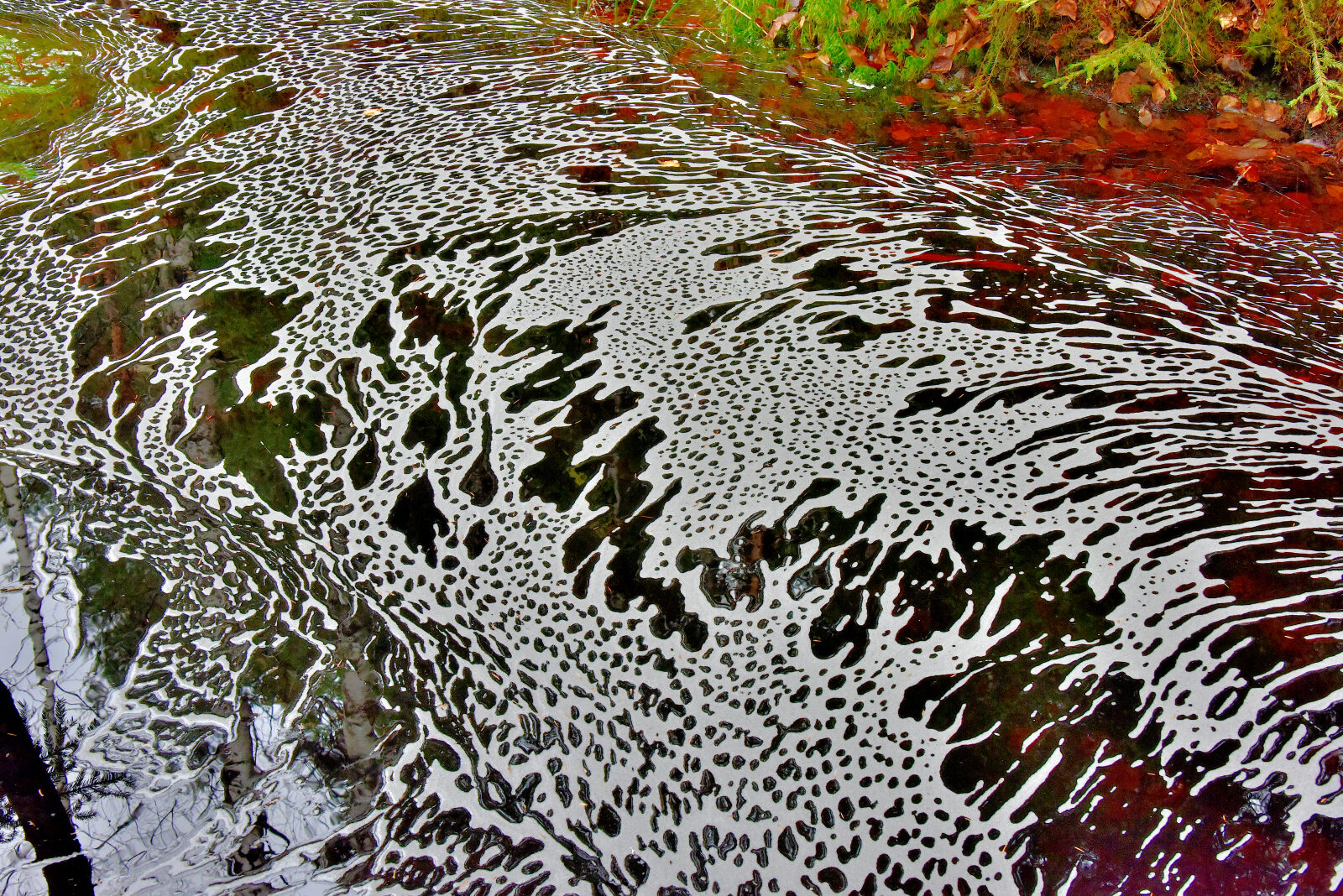 Valokuvaaja: Reijo Juurinen