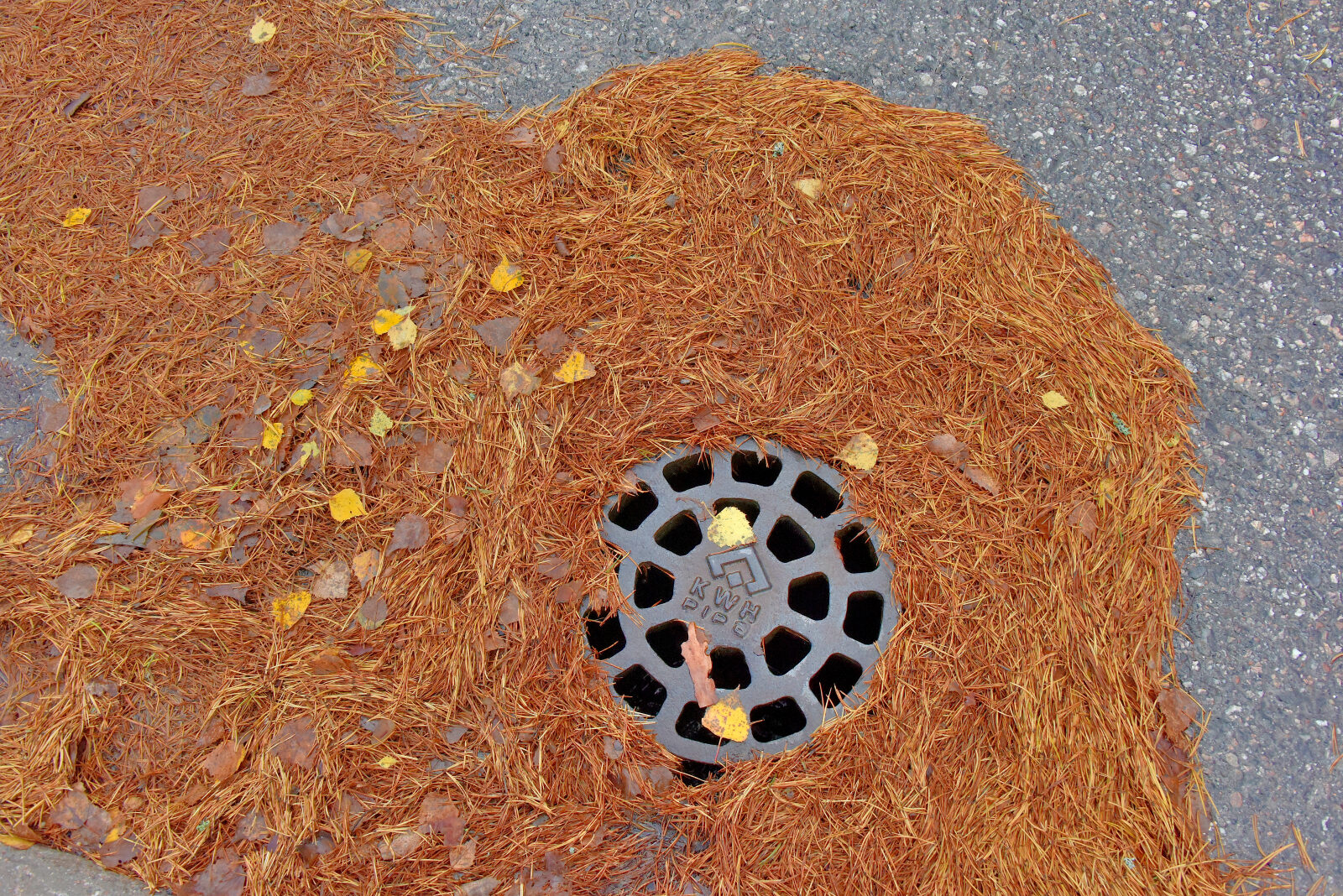 Valokuvaaja: Reijo Juurinen