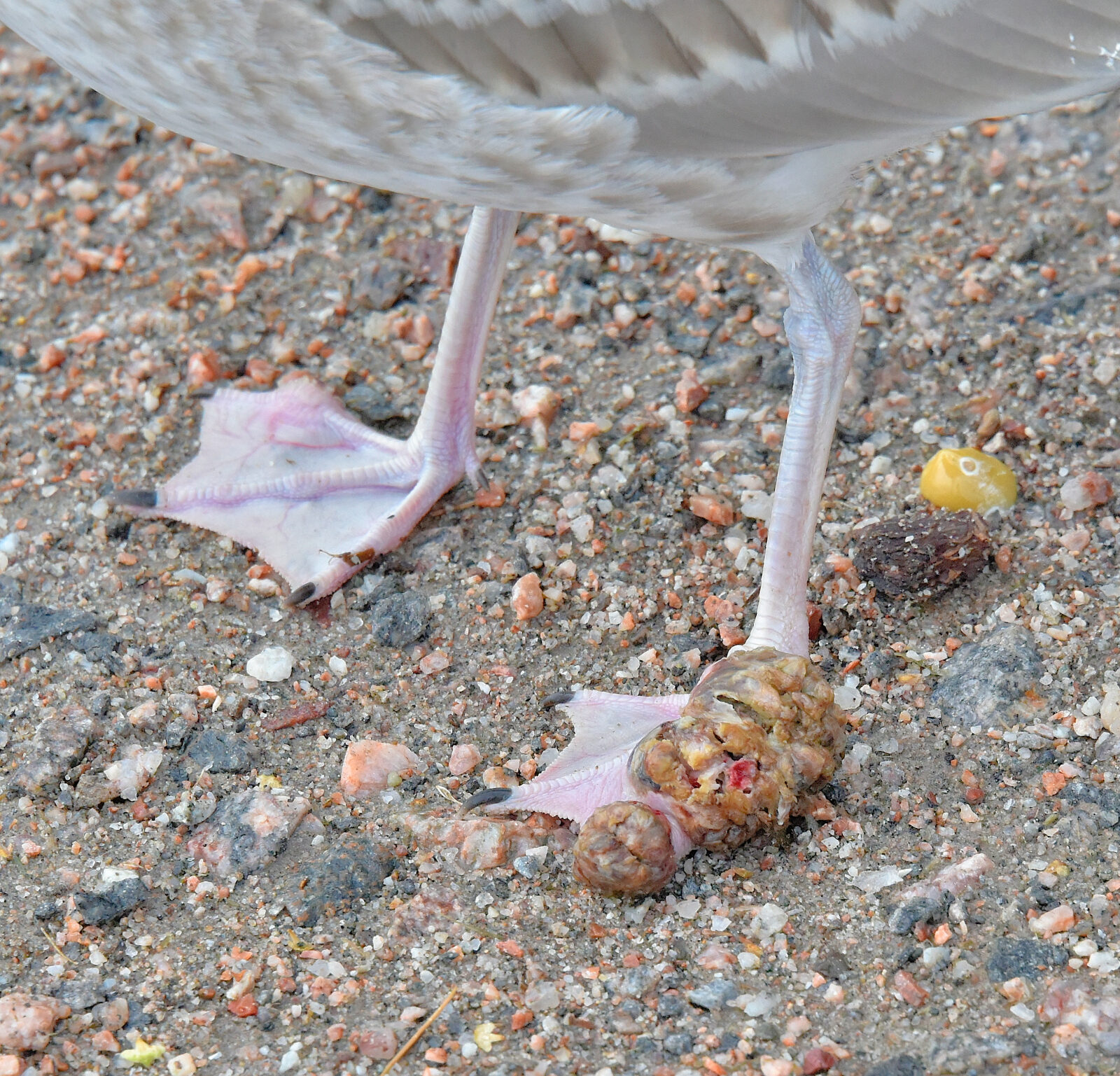 Valokuvaaja: Reijo Juurinen