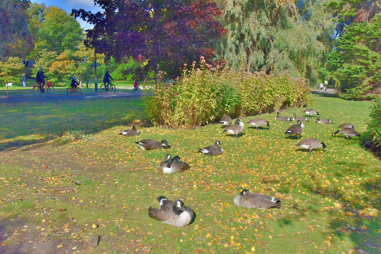 Valokuvaaja: Reijo Juurinen