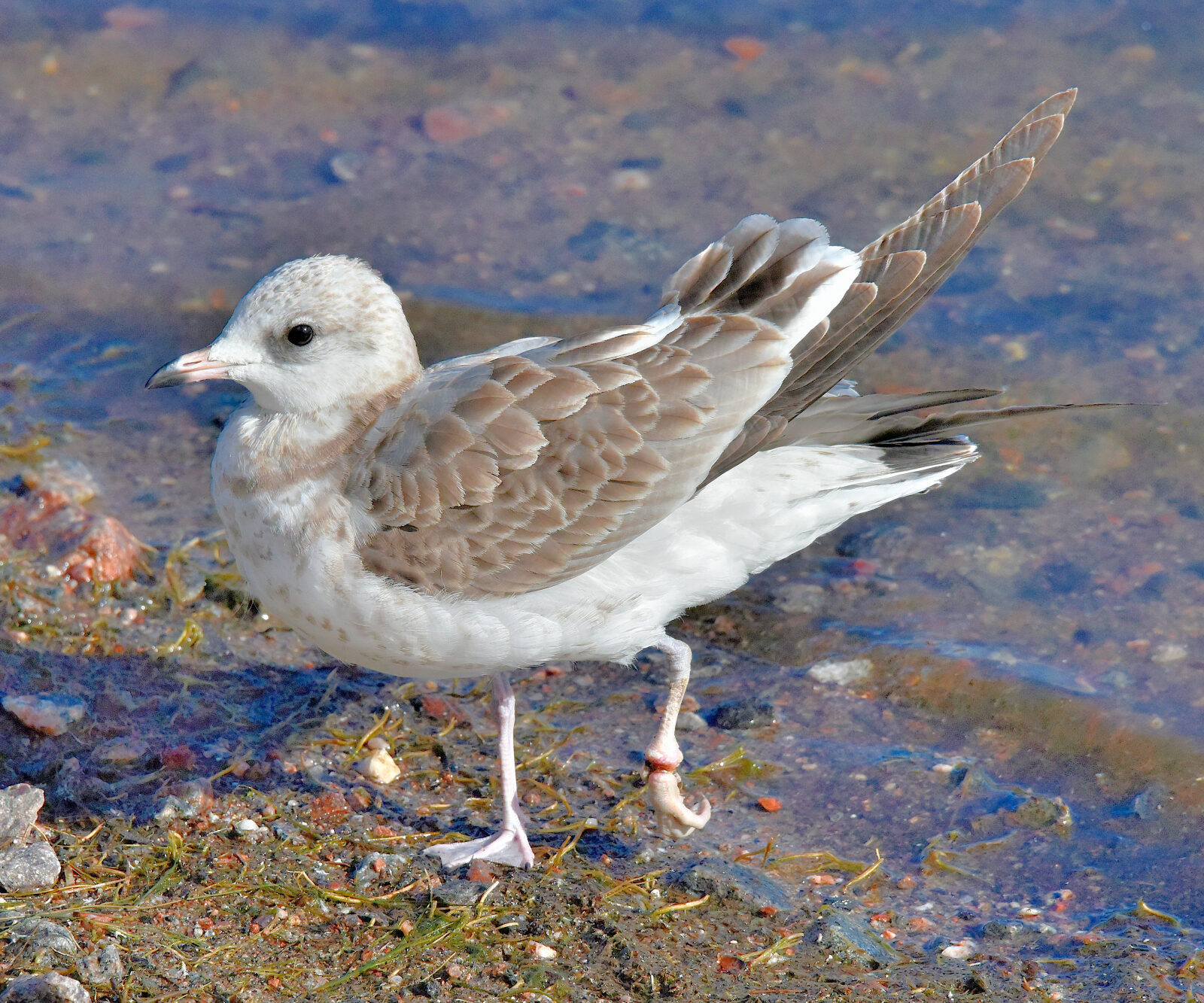 Valokuvaaja: Reijo Juurinen
