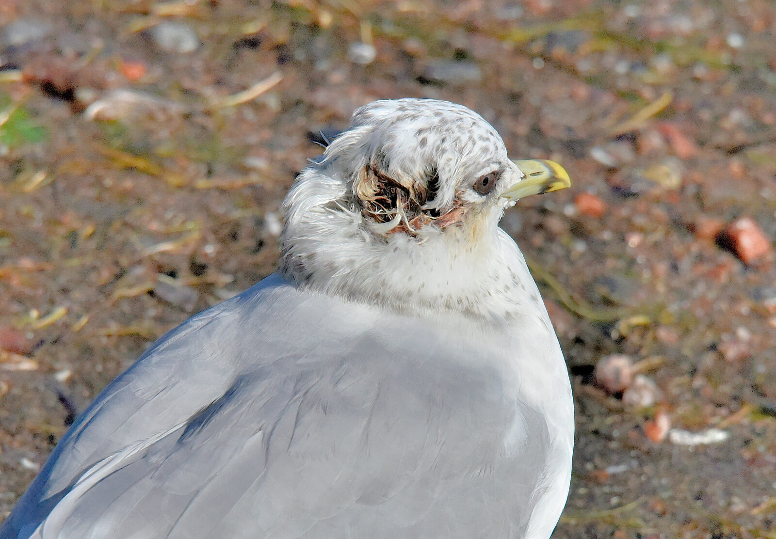 Valokuvaaja: Reijo Juurinen Valokuvaaja: Reijo Juurinen