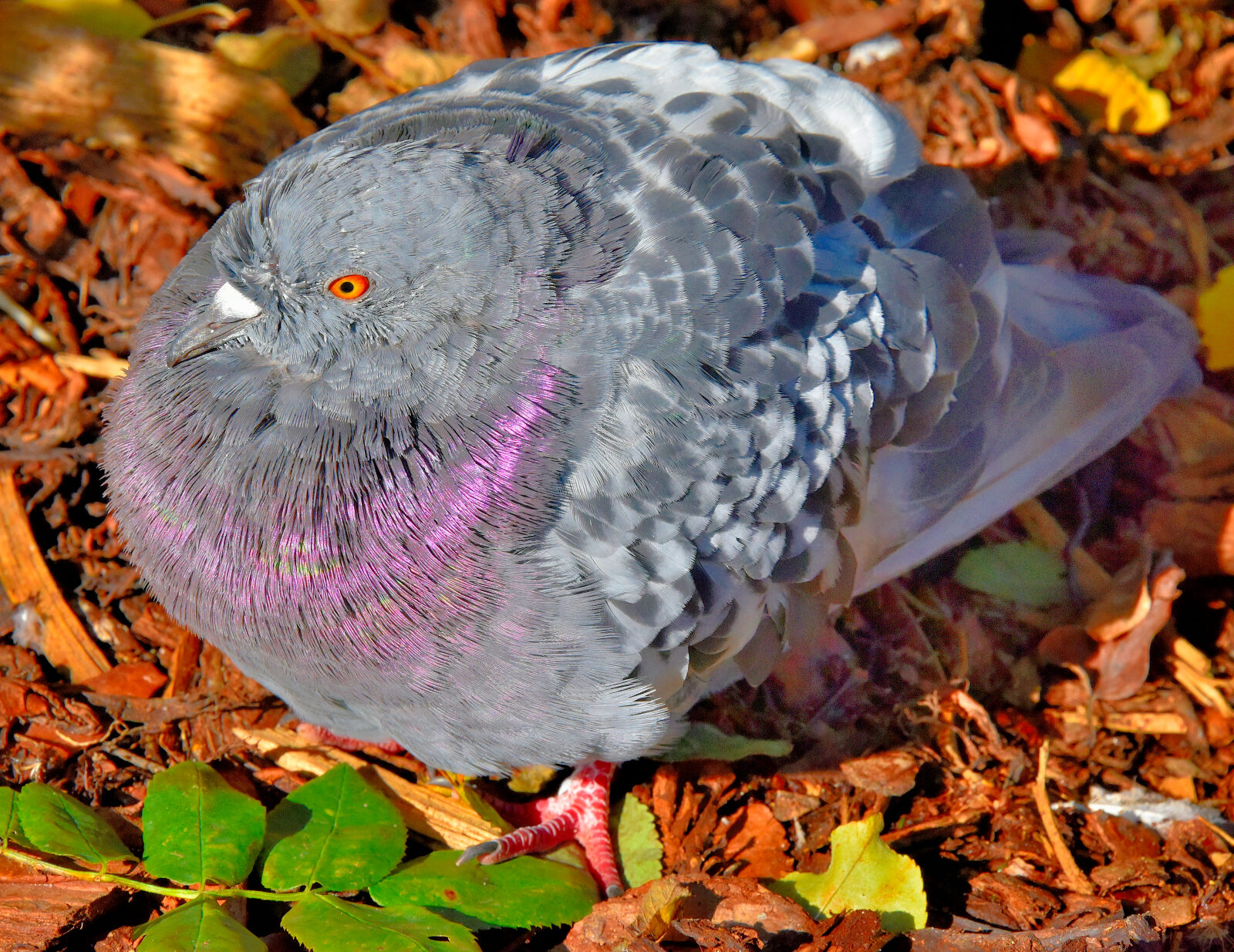 Valokuvaaja: Reijo Juurinen