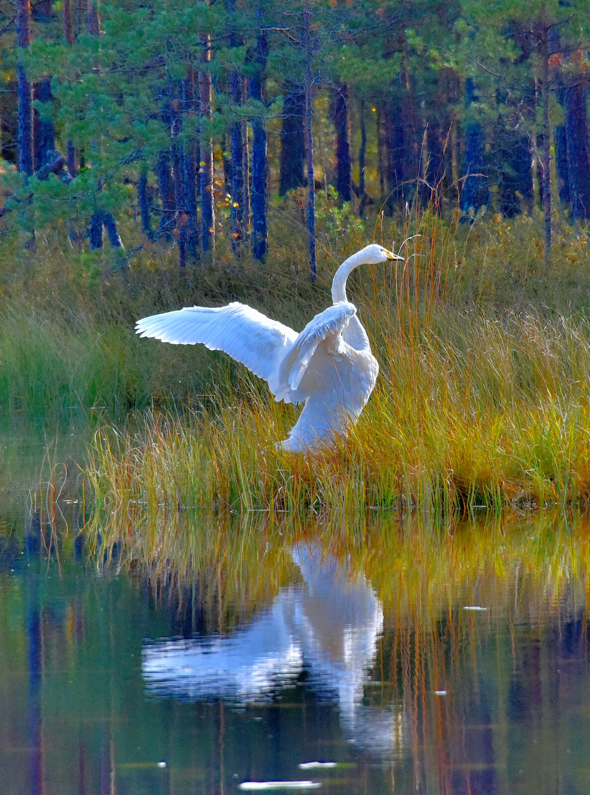 Valokuvaaja: Reijo Juurinen