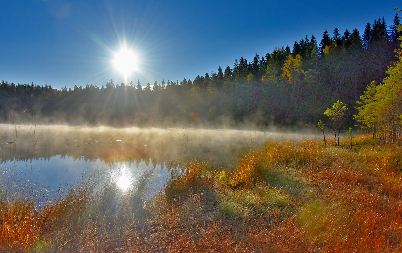 Valokuvaaja: Reijo Juurinen