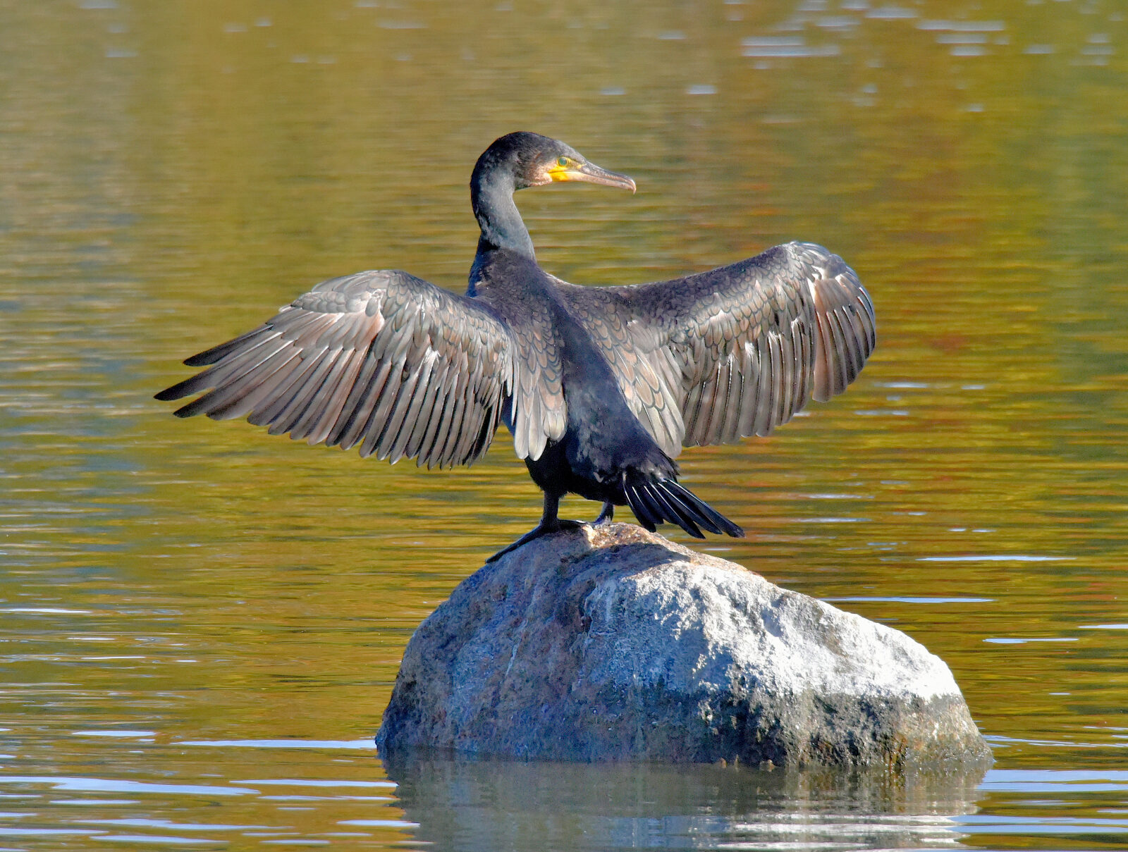 Valokuvaaja: Reijo Juurinen