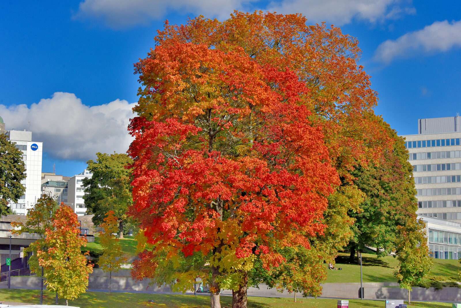 Valokuvaaja: Reijo Juurinen