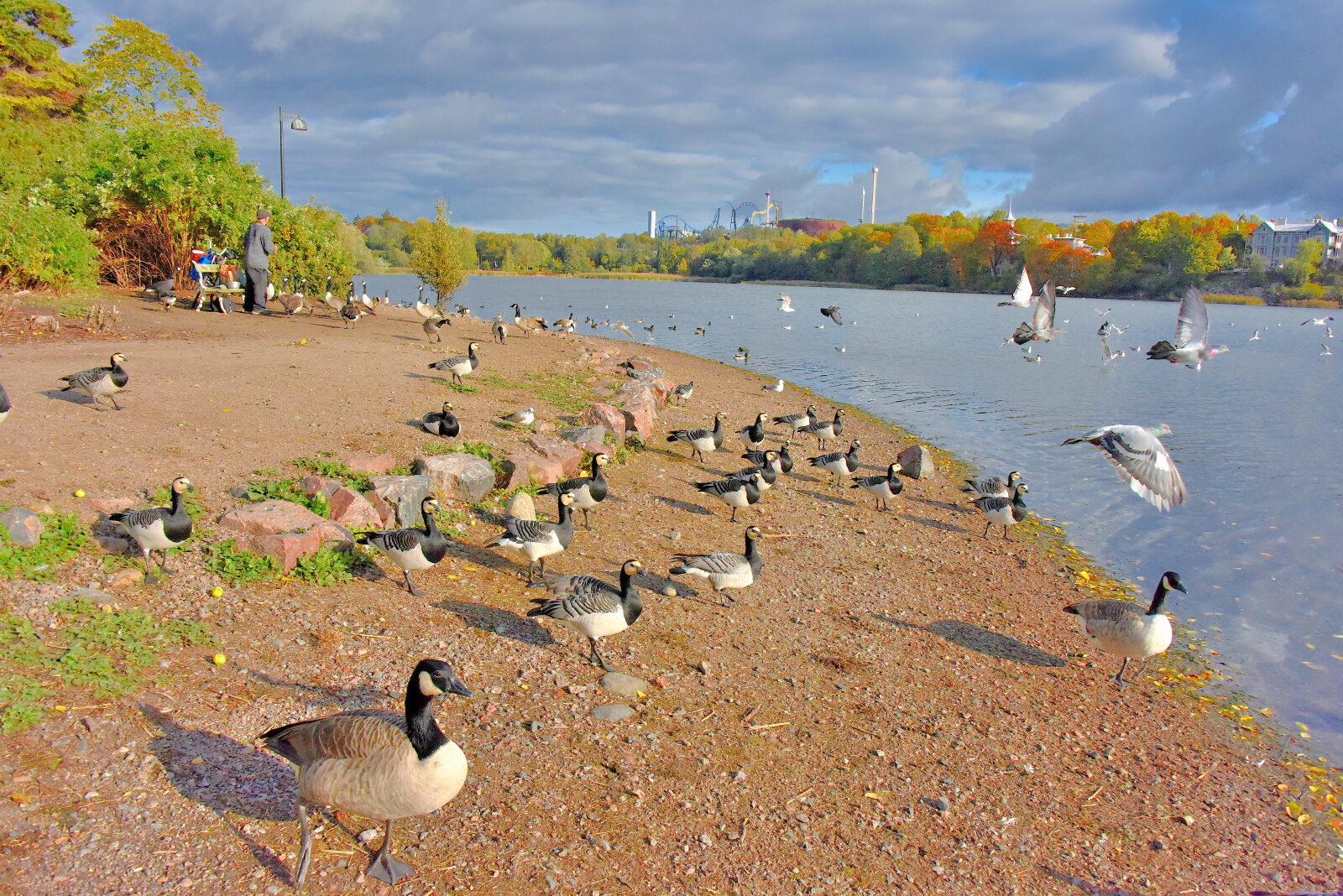 Valokuvaaja: Reijo Juurinen