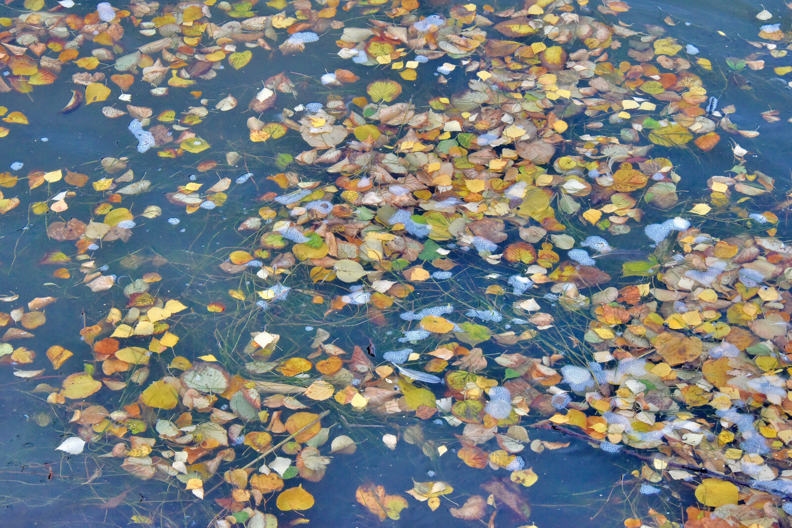 Valokuvaaja: Reijo Juurinen