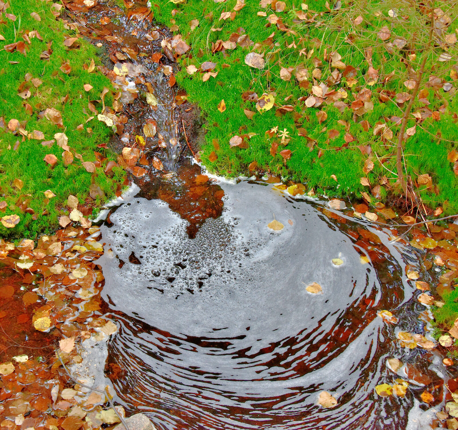 Valokuvaaja: Reijo Juurinen Valokuvaaja: Reijo Juurinen