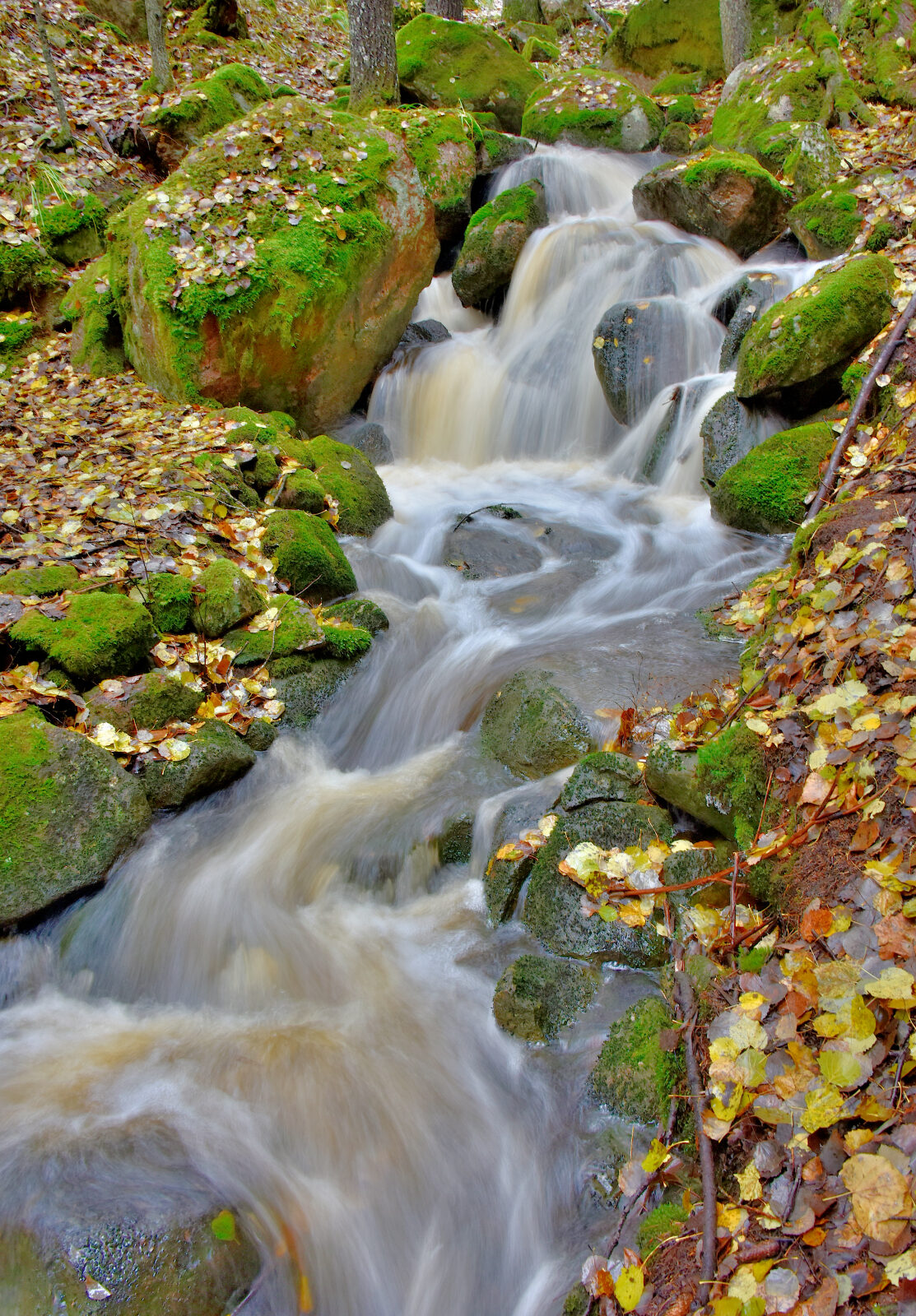 Valokuvaaja: Reijo Juurinen