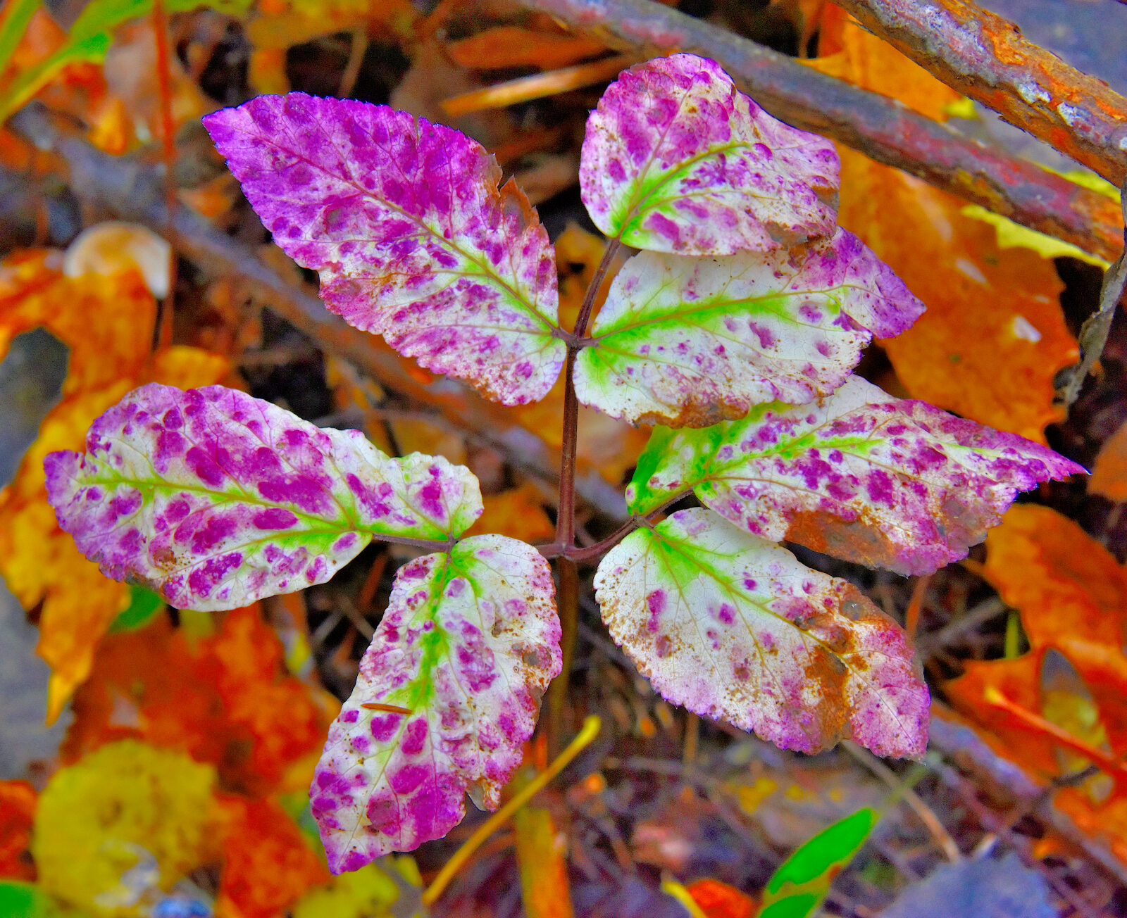 Valokuvaaja: Reijo Juurinen