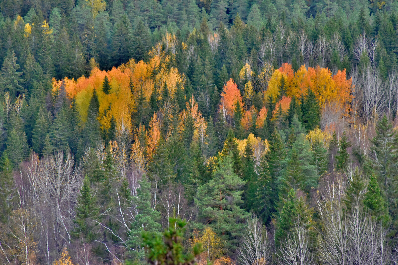 Valokuvaaja: Reijo Juurinen