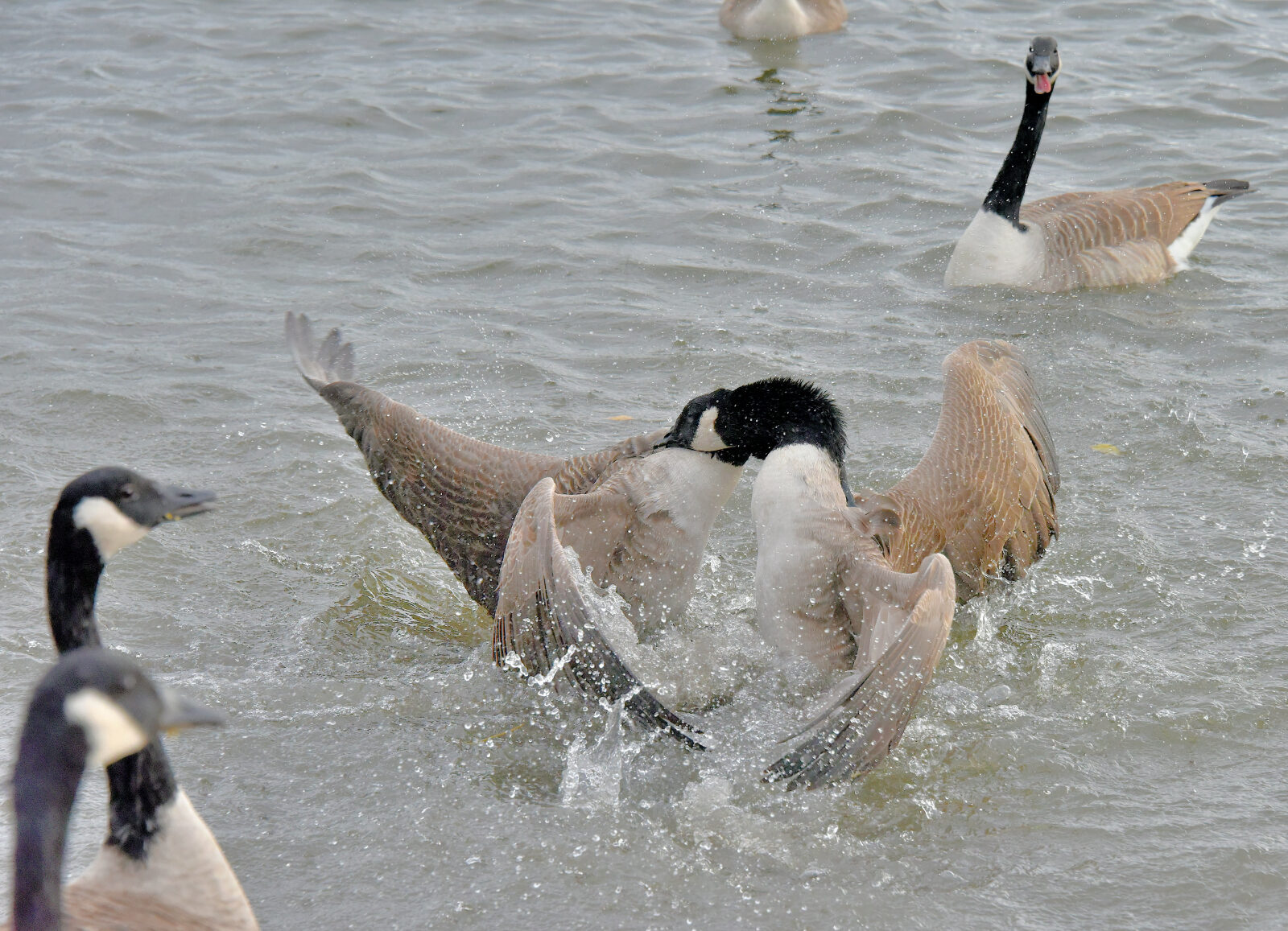 Valokuvaaja: Reijo Juurinen