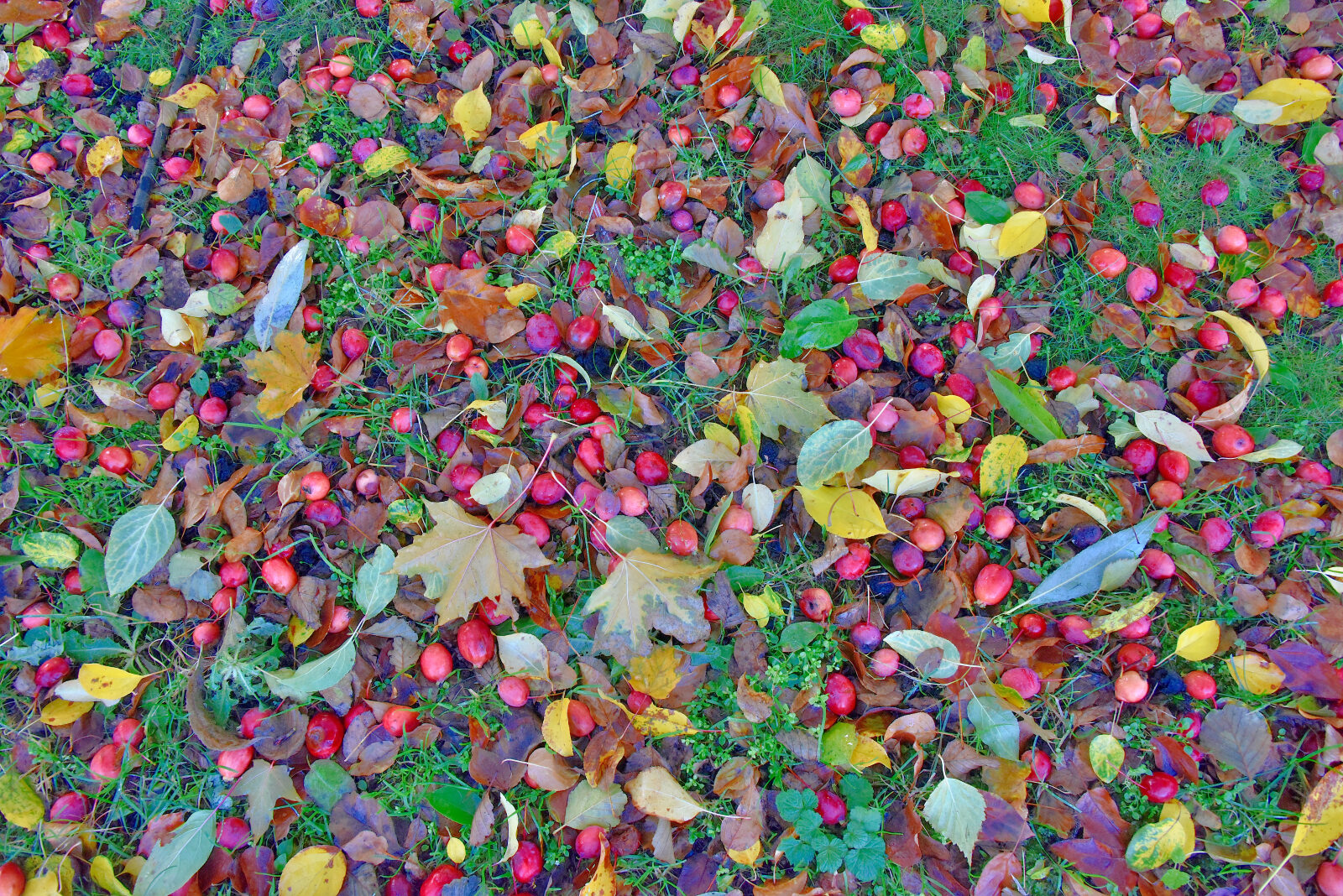 Valokuvaaja: Reijo Juurinen