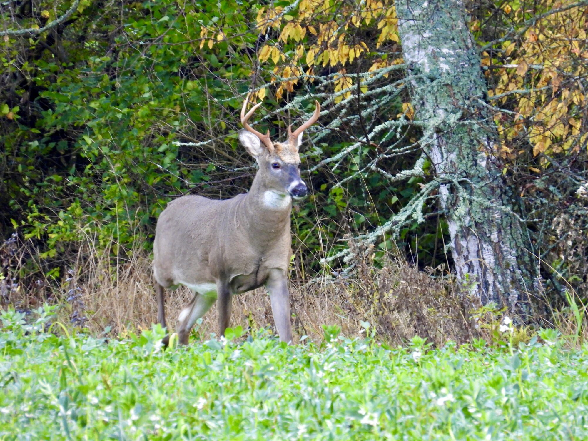 Valokuvaaja: Juhani Peltonen