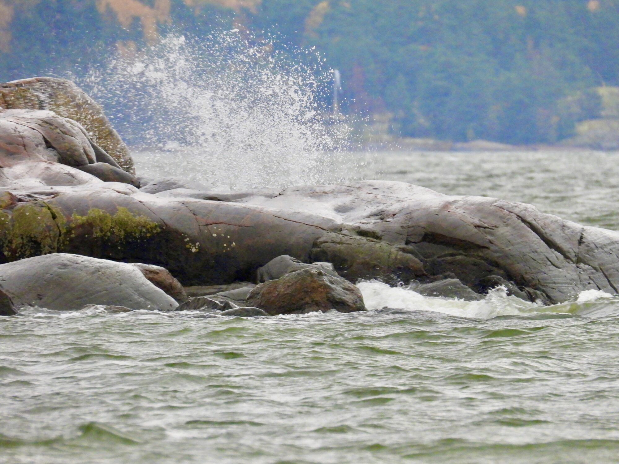 Valokuvaaja: Juhani Peltonen