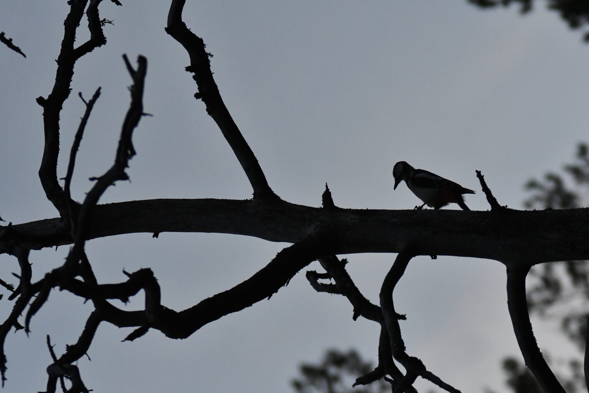 Valokuvaaja: Kati Kilpeläinen