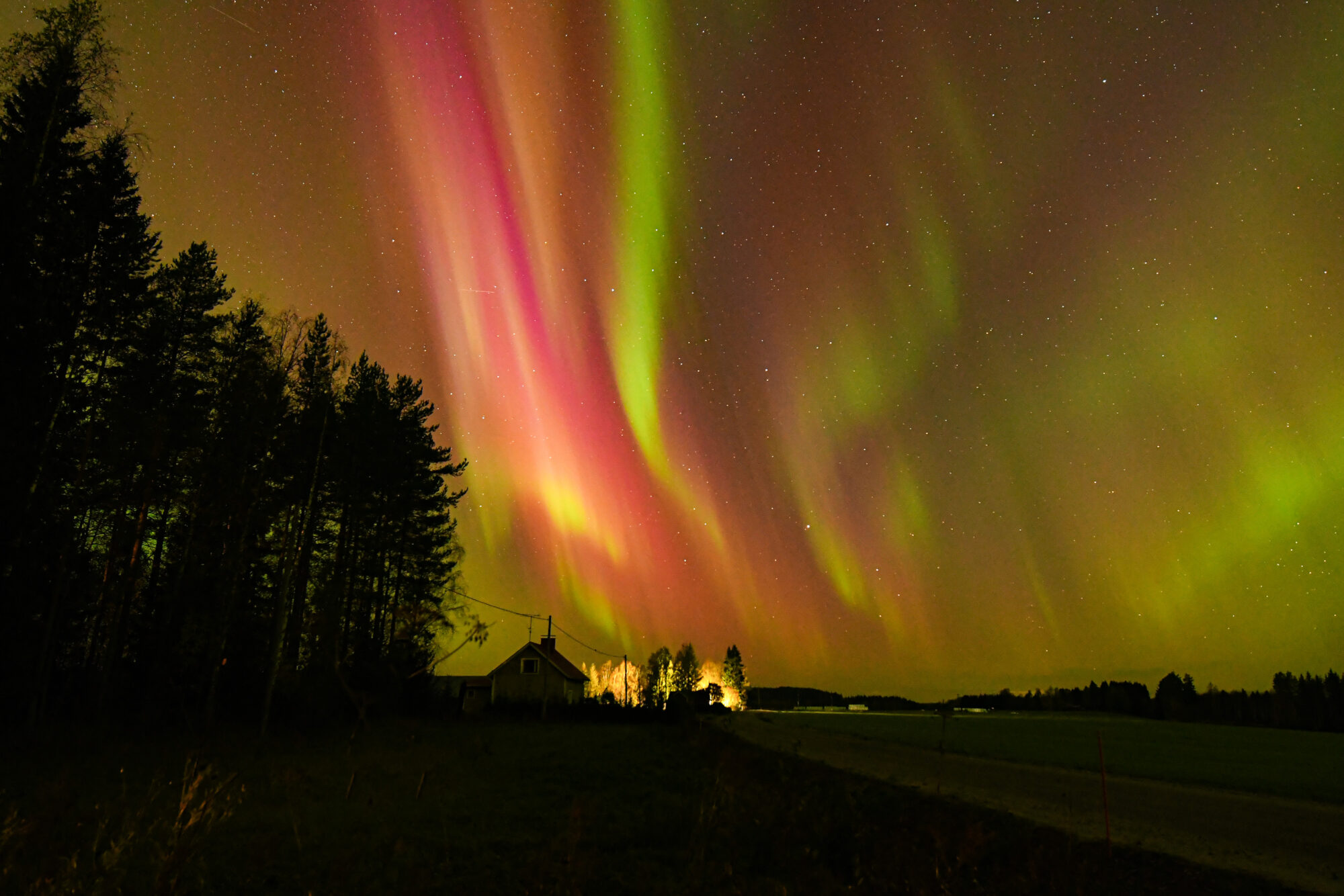 Valokuvaaja: Maija Savolainen