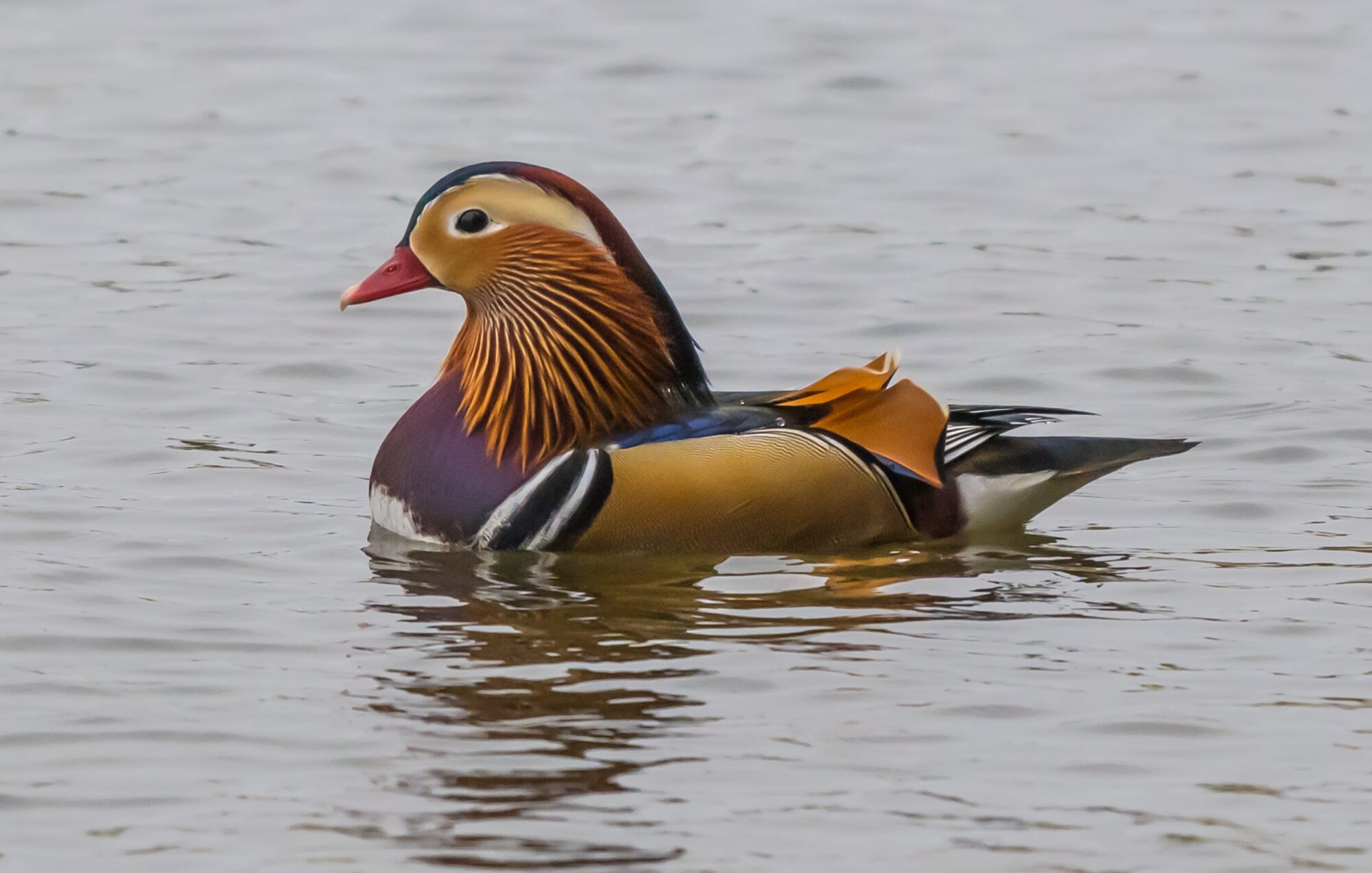 Valokuvaaja: Markku Saarinen