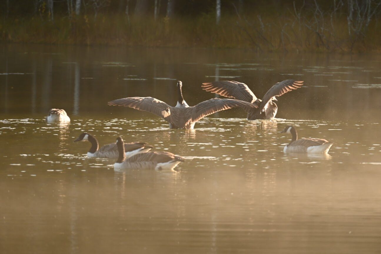 Valokuvaaja: Emilia Miettinen