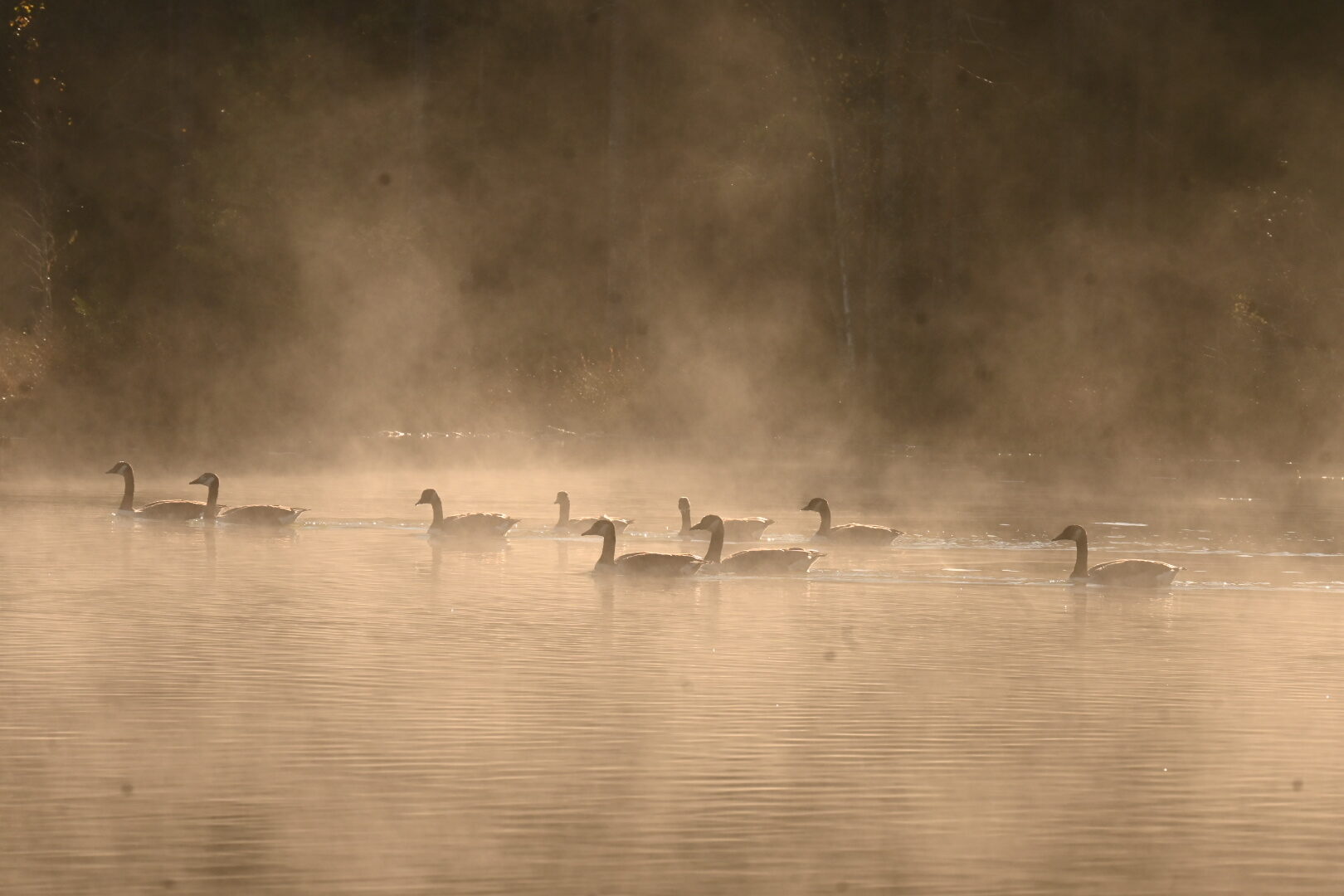 Valokuvaaja: Emilia Miettinen
