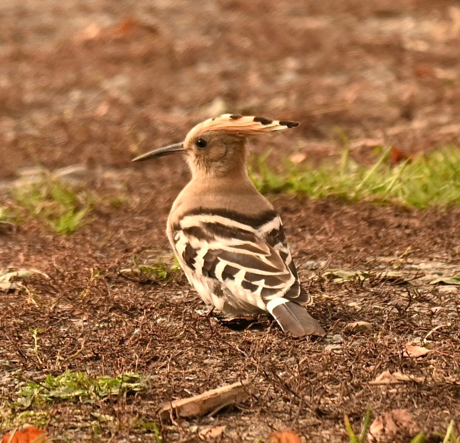Valokuvaaja: Emilia Miettinen