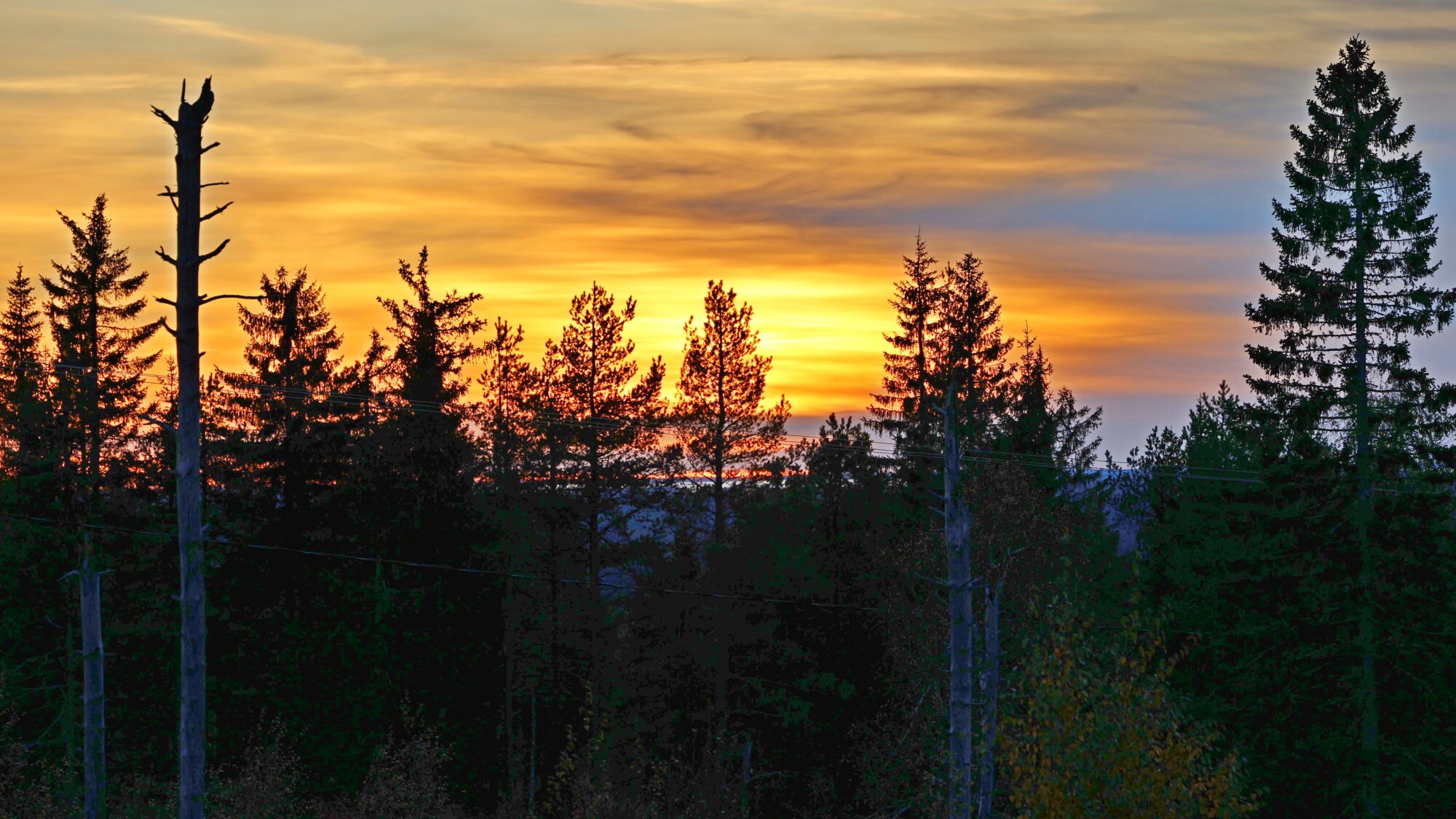 Valokuvaaja: TOMMI KUJALA Valokuvaaja: TOMMI KUJALA