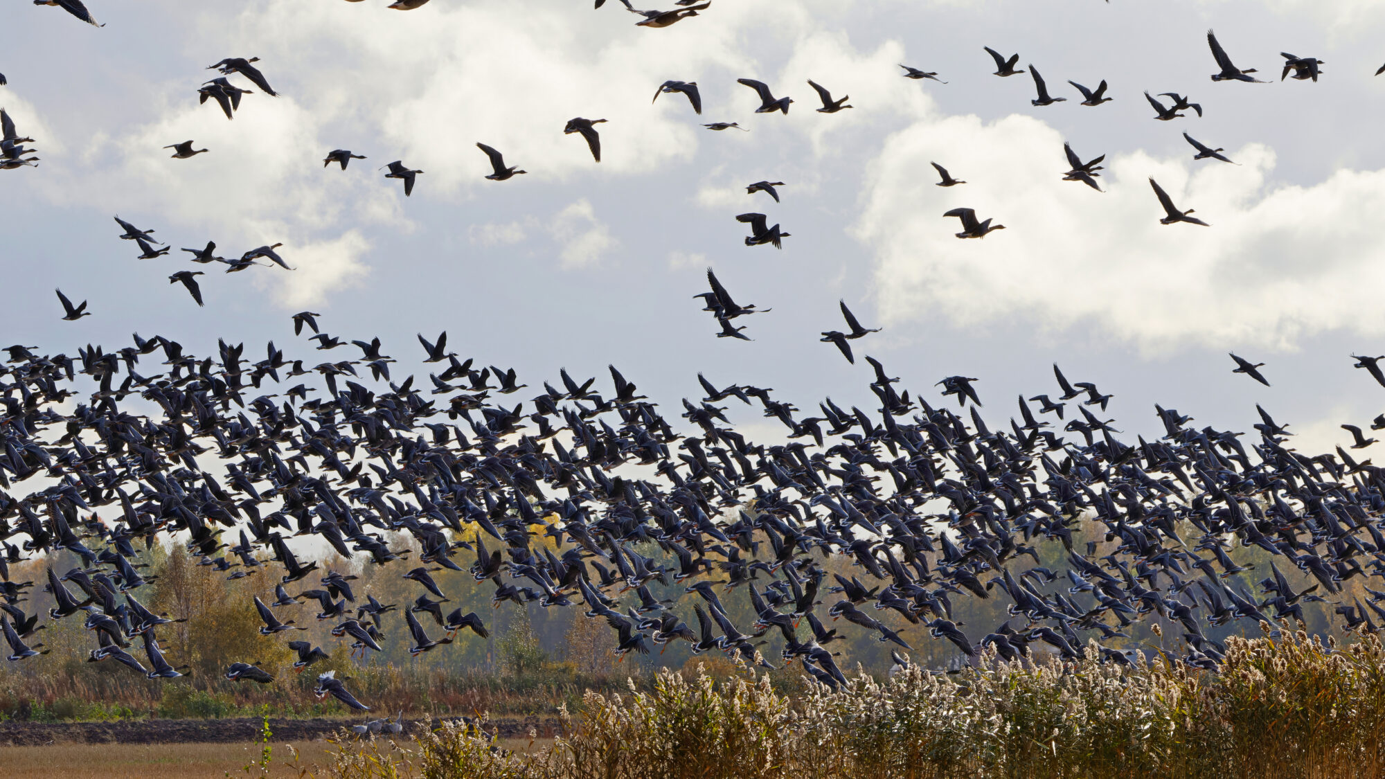 Valokuvaaja: TOMMI KUJALA