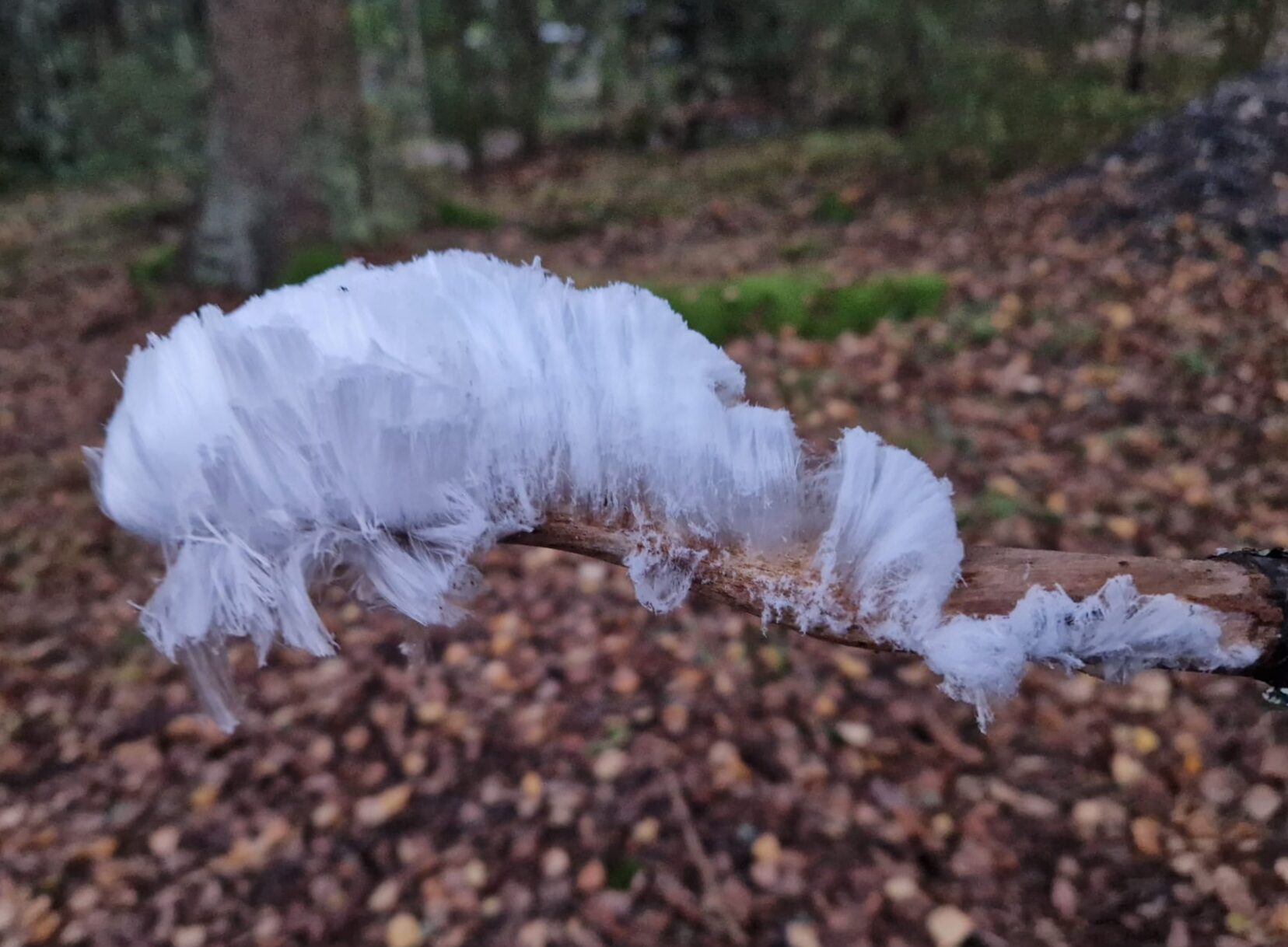 Valokuvaaja: Anna Lähde