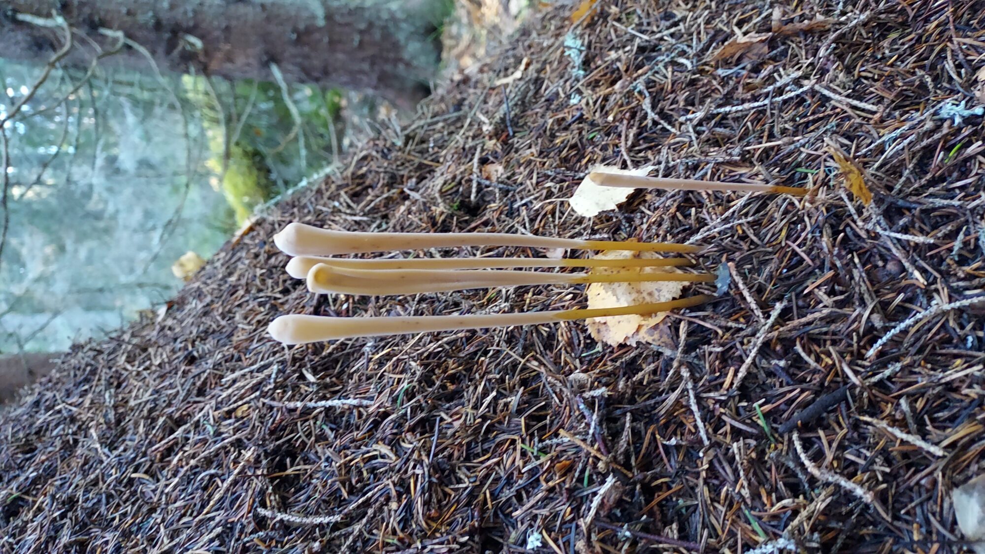 Valokuvaaja: Ari Saikkonen