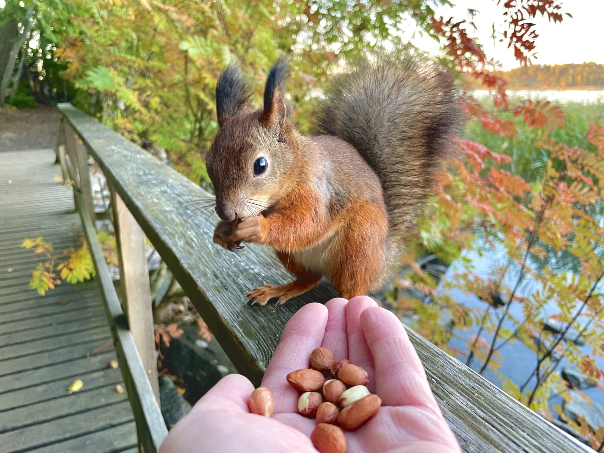 Valokuvaaja: Juhani Peltonen